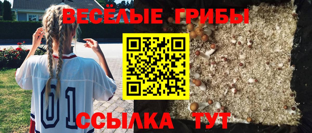 Губкинский  Псилоцибиновые грибы Cubensis  Псилоцибиновые грибы Psilocybine cubensis  даркнет сайт  Вход с VPN 
